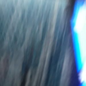 Meet your Posher, Dale